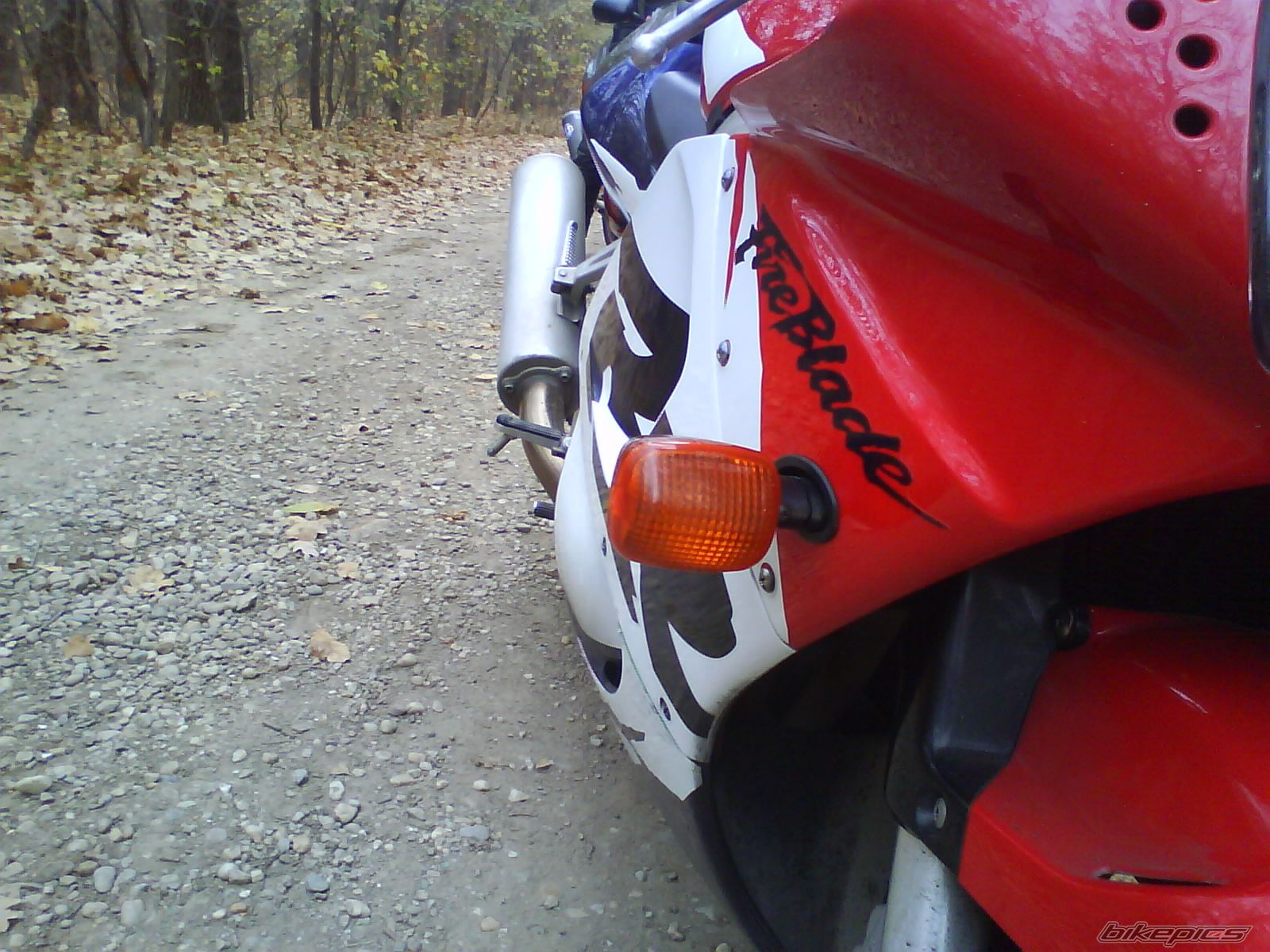 Photo 1484726