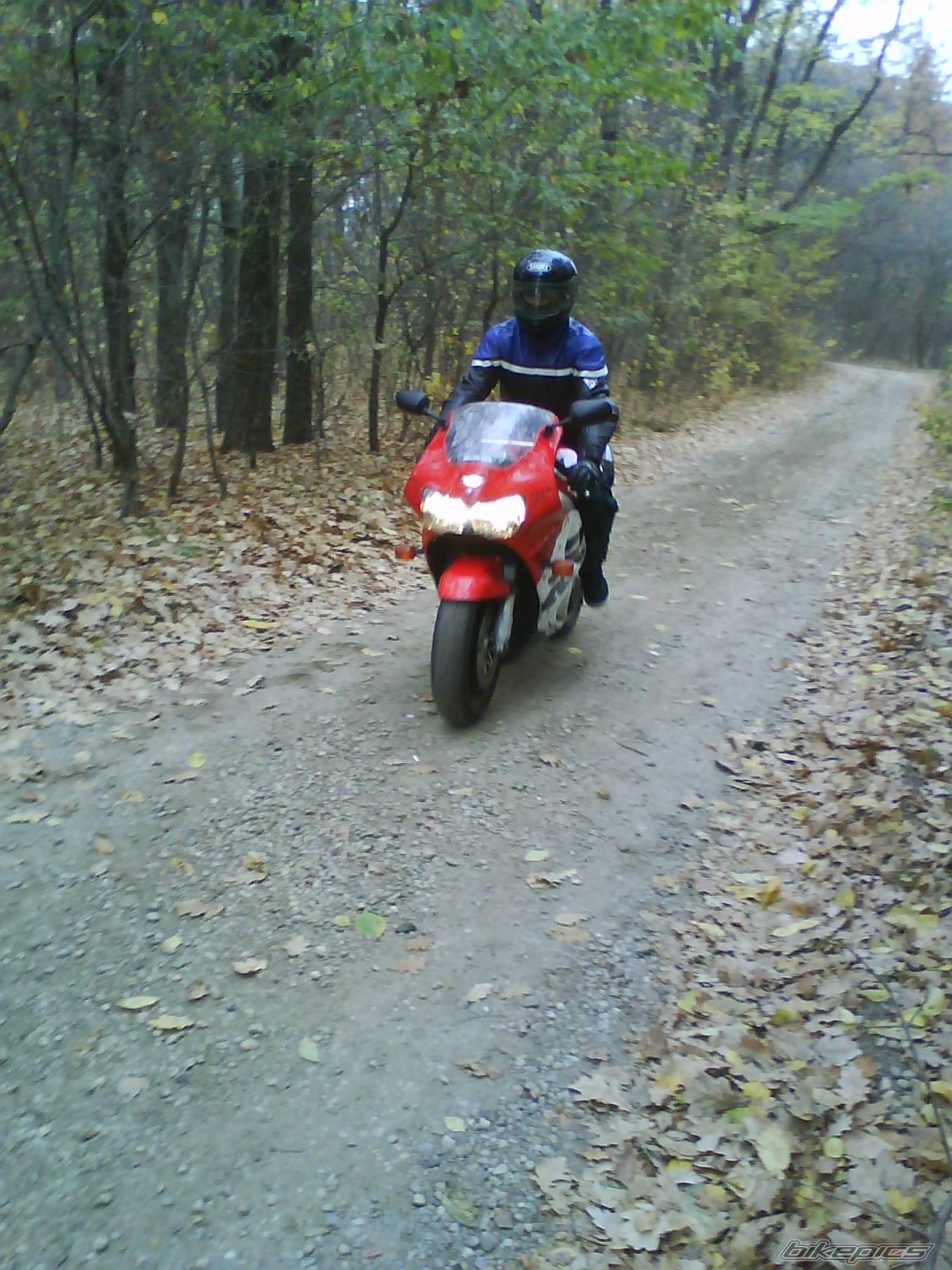 Photo 1484727