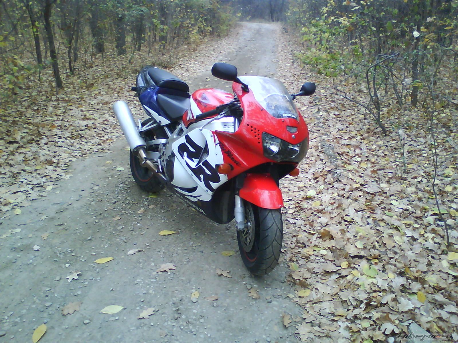 Photo 1484728