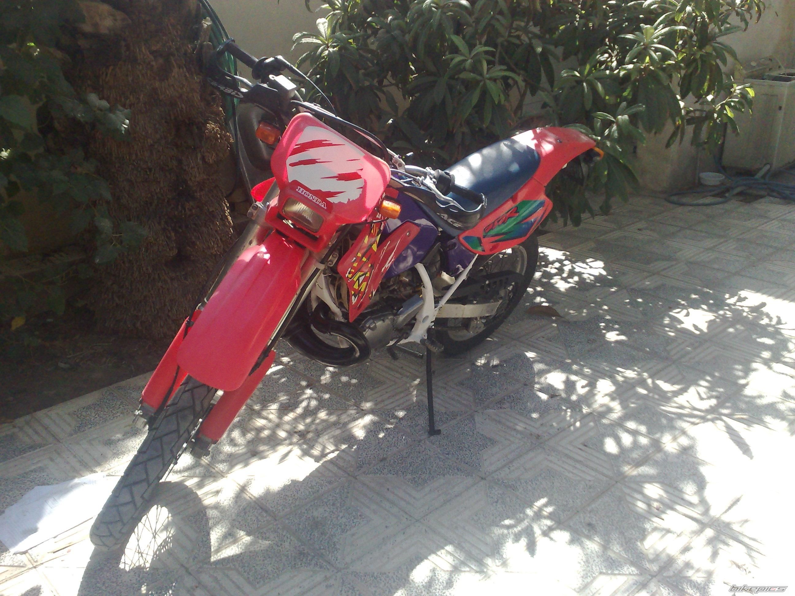 Photo 1484754