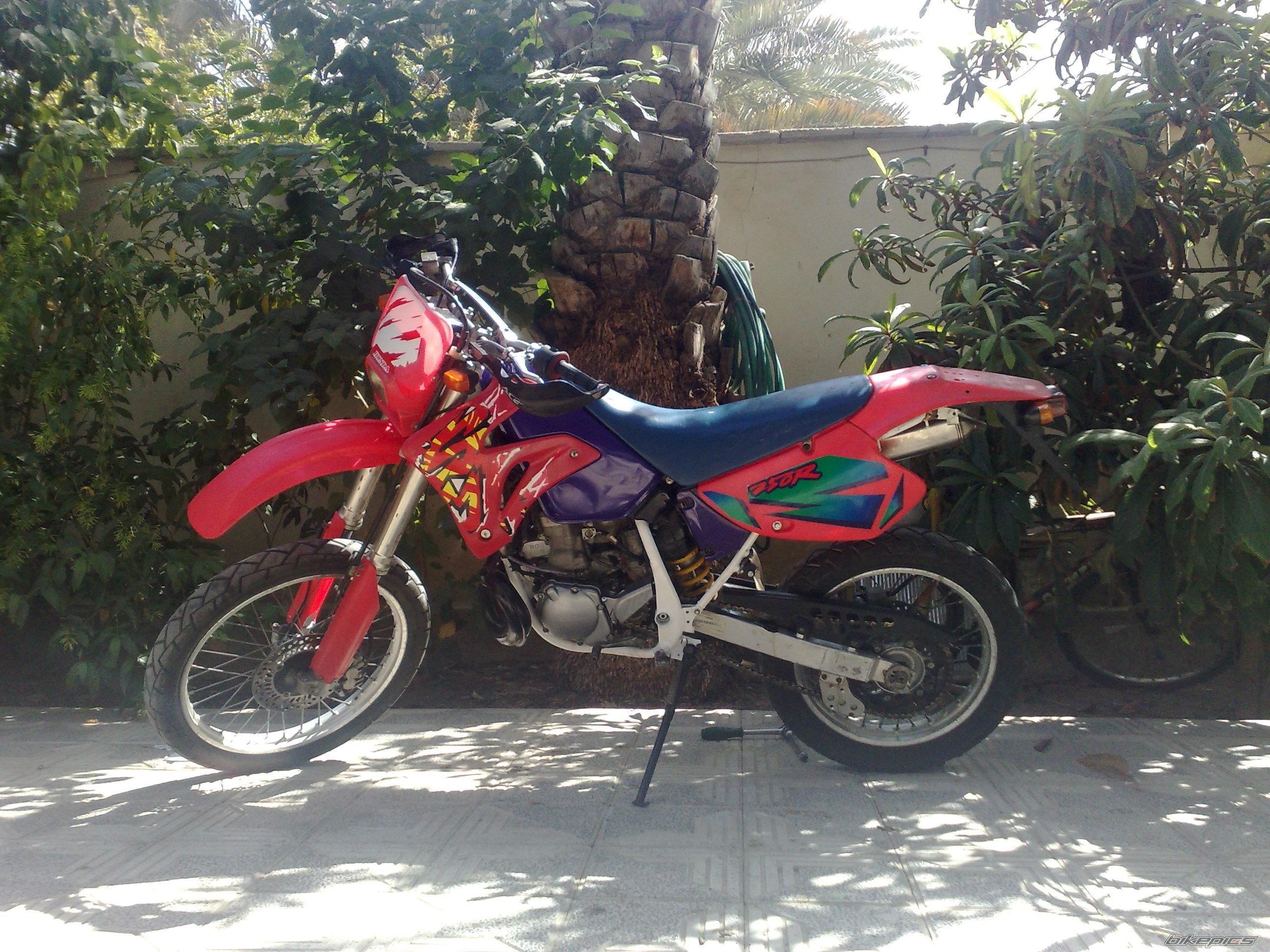 Photo 1484755