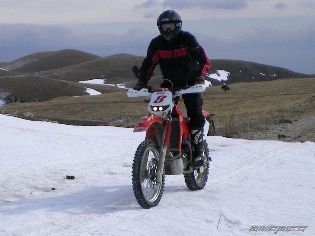 Photo 1484836