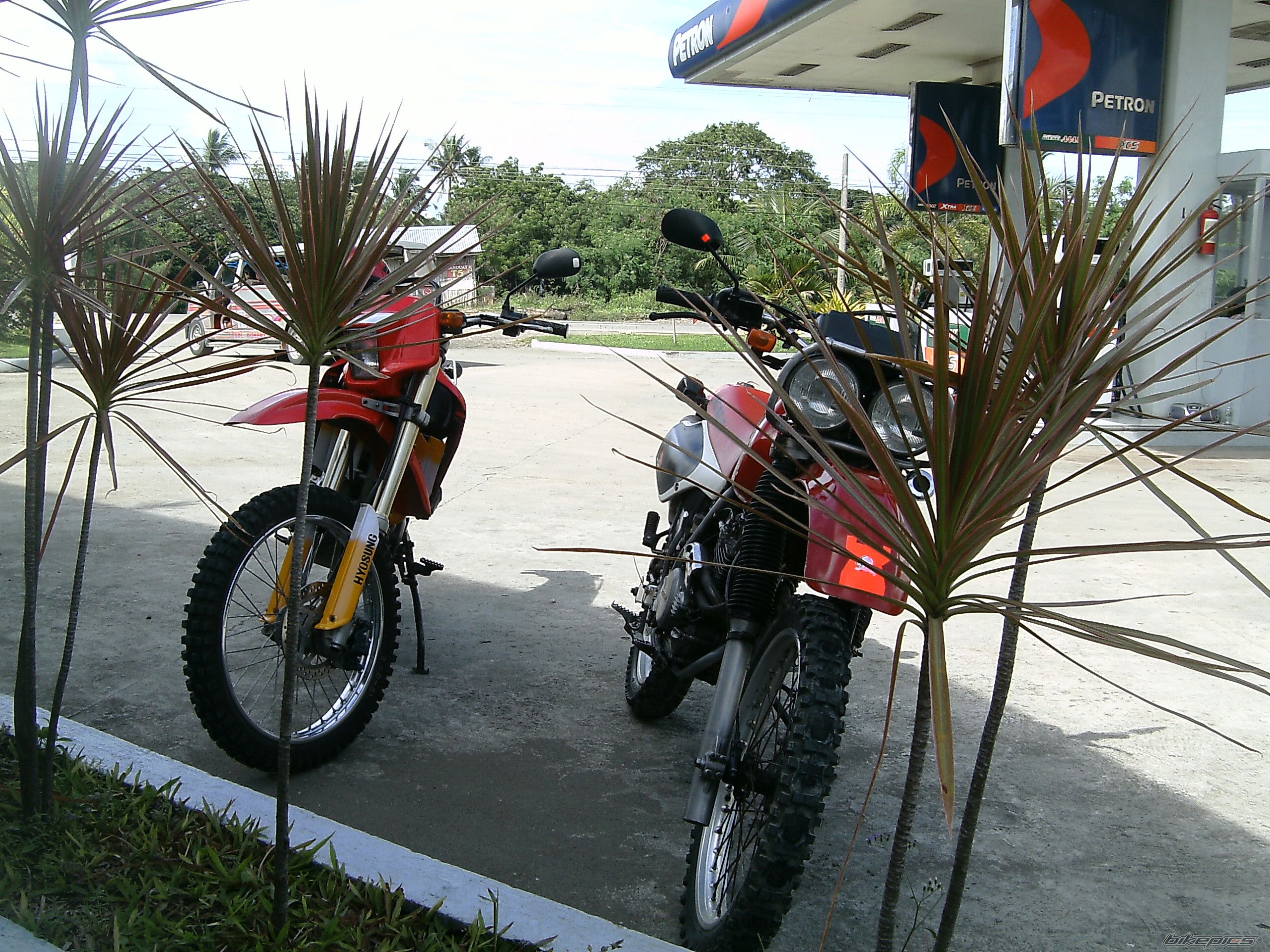 Photo 1484840
