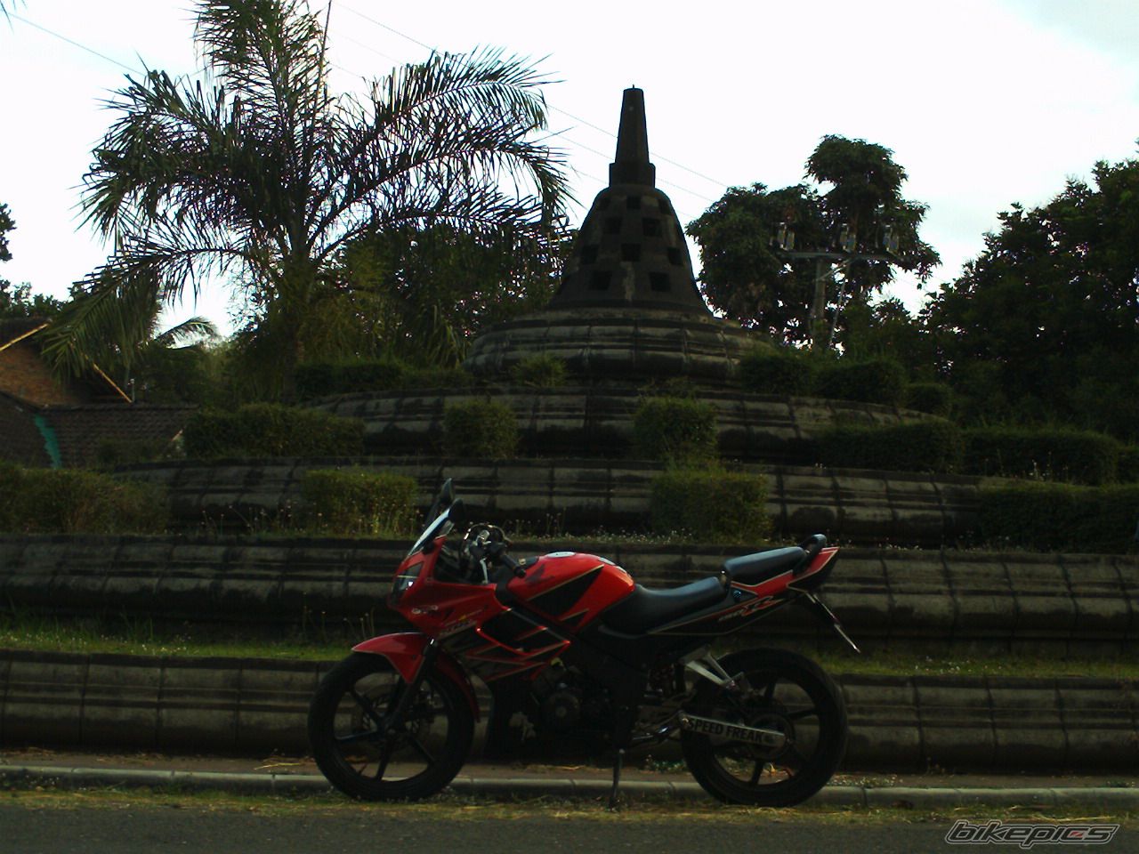 Photo 1484892