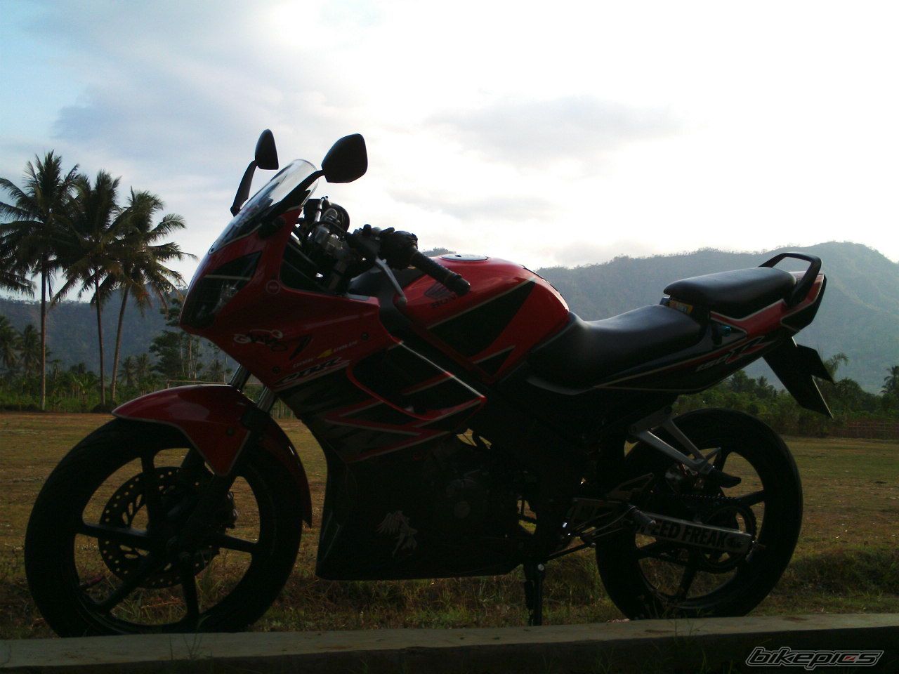 Photo 1484895