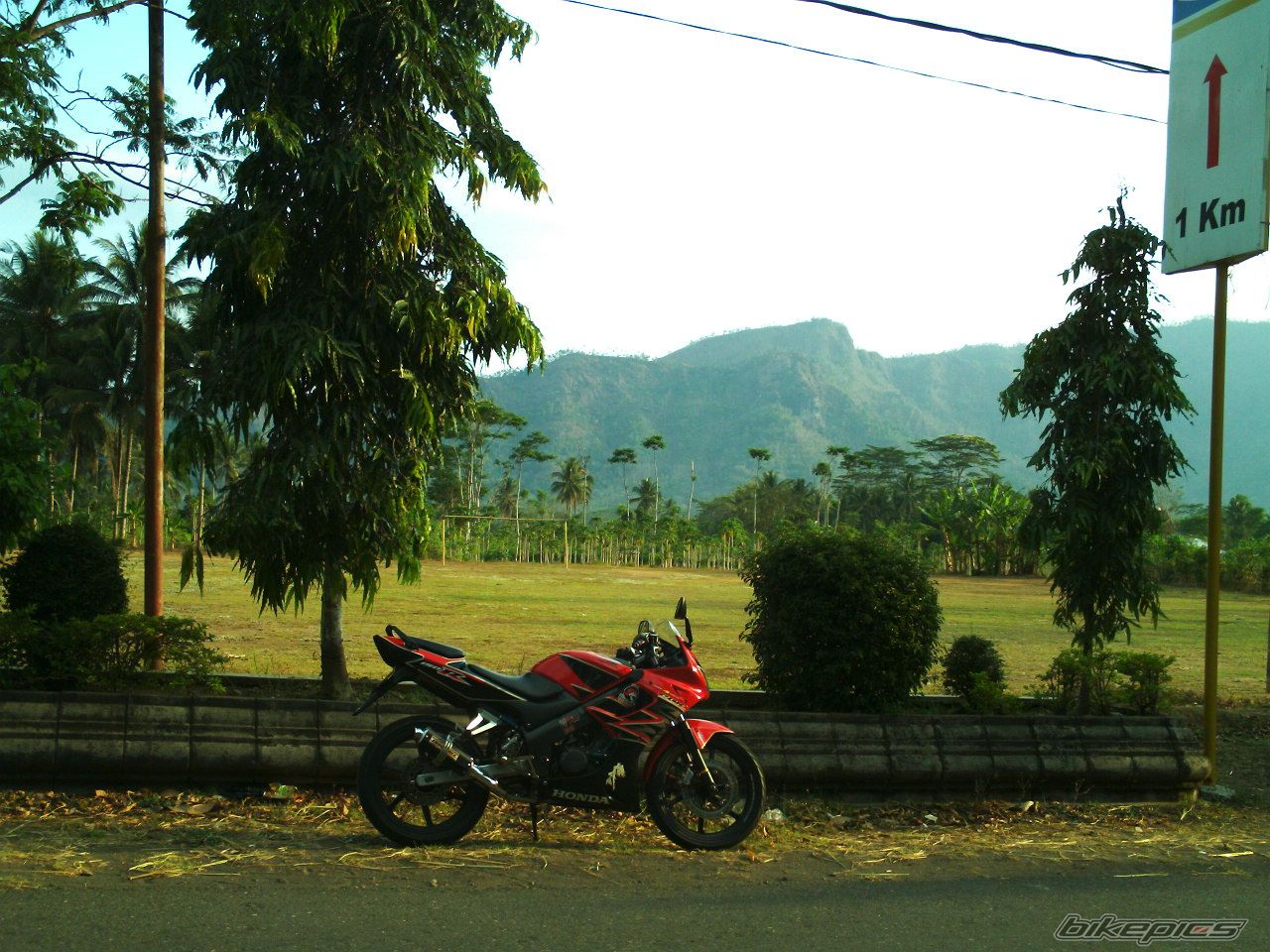 Photo 1484897