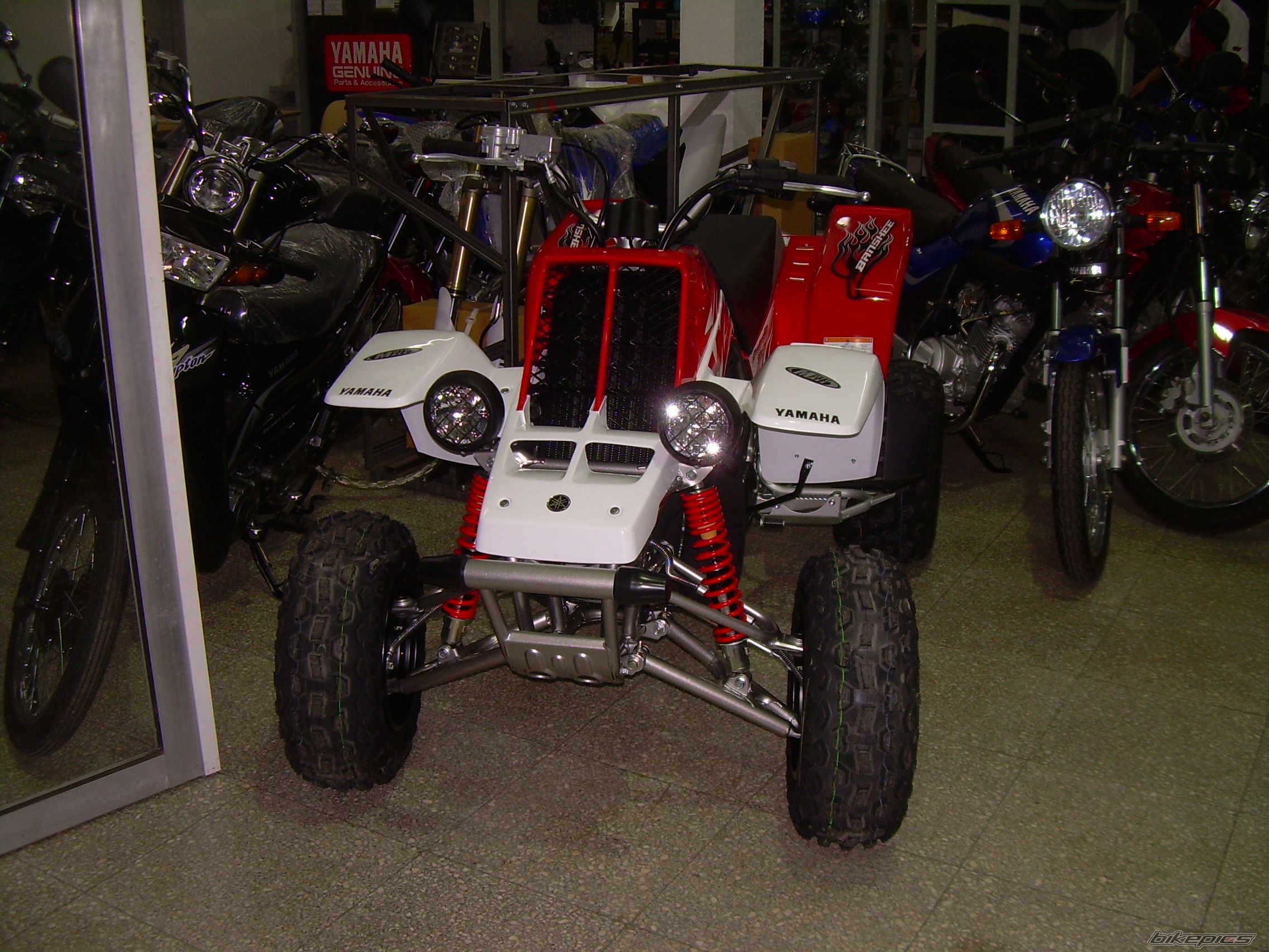 Photo 1484953