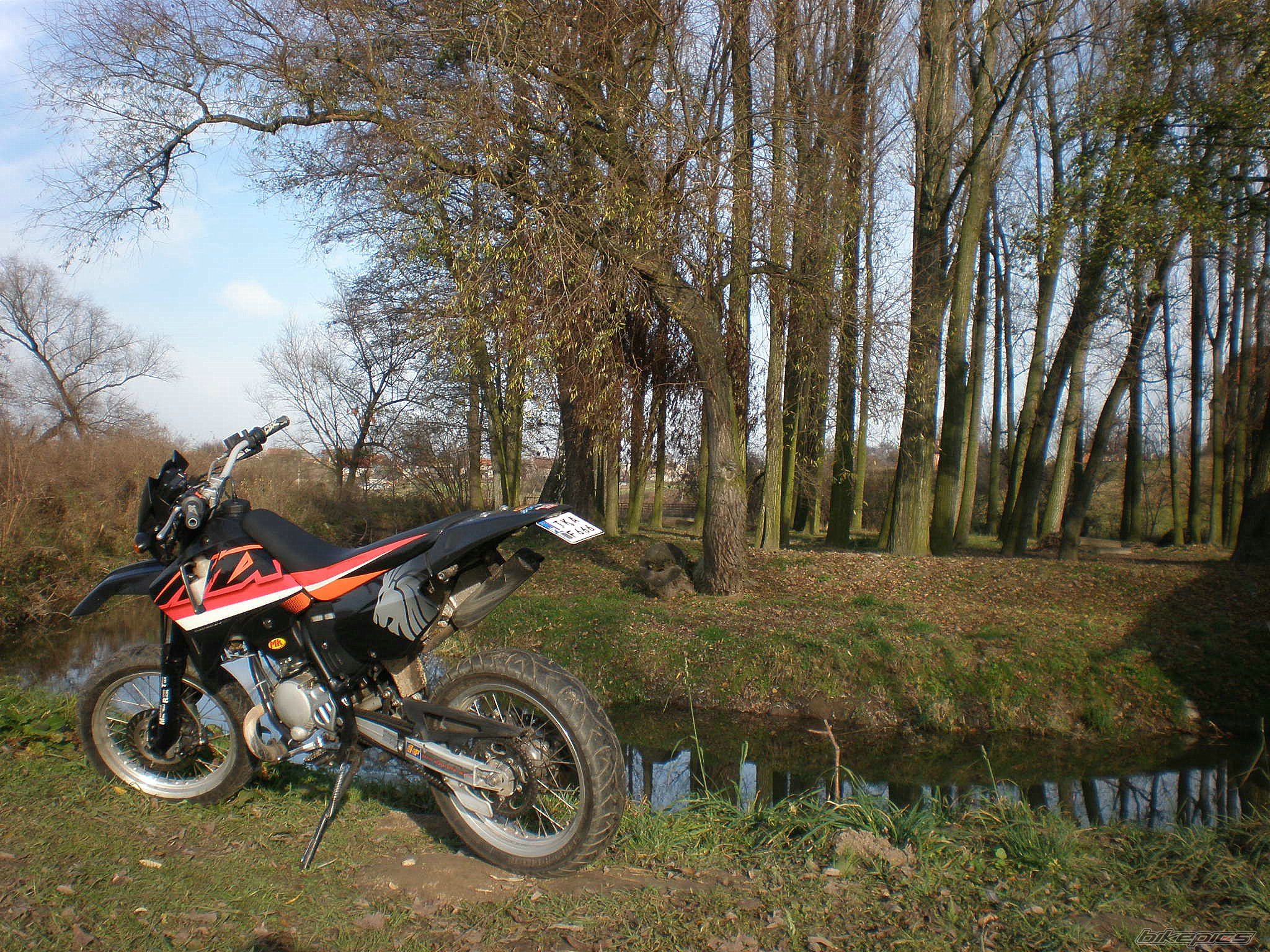 Photo 1484960