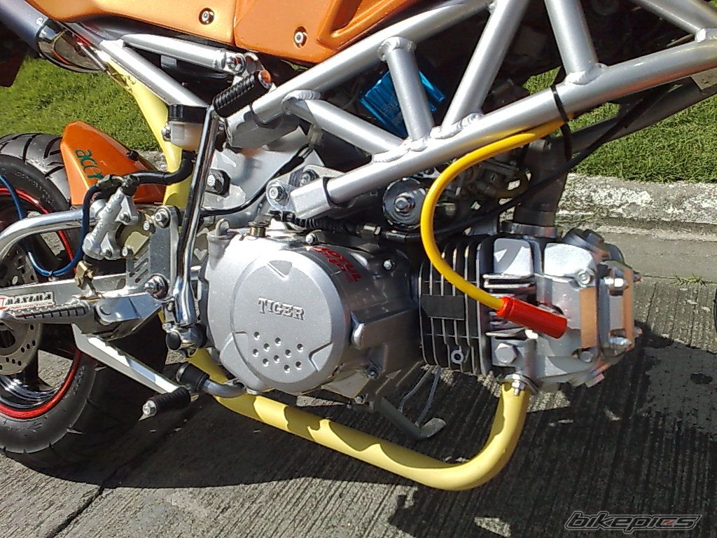 Bike Photo 1484974