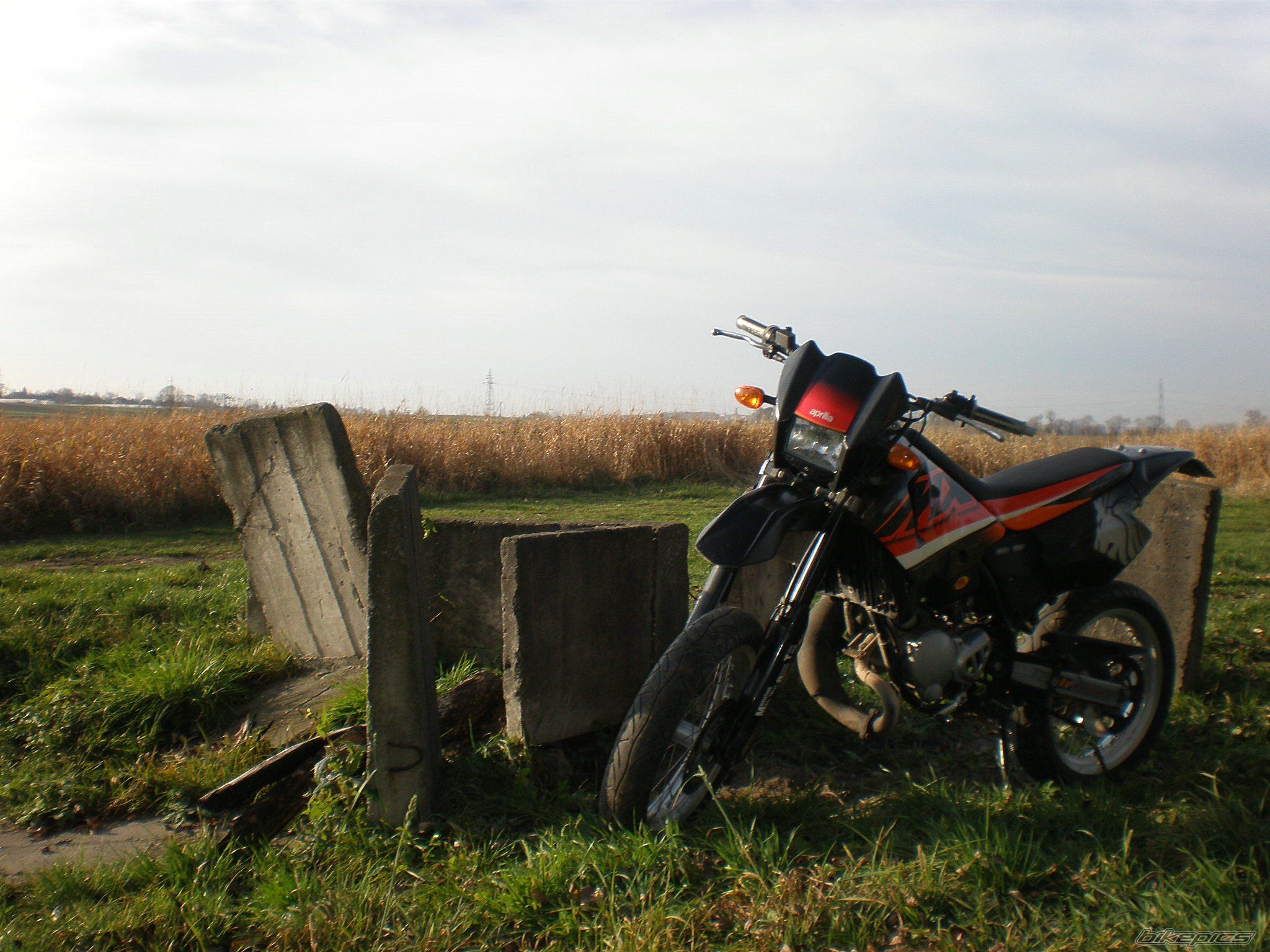 Photo 1484997