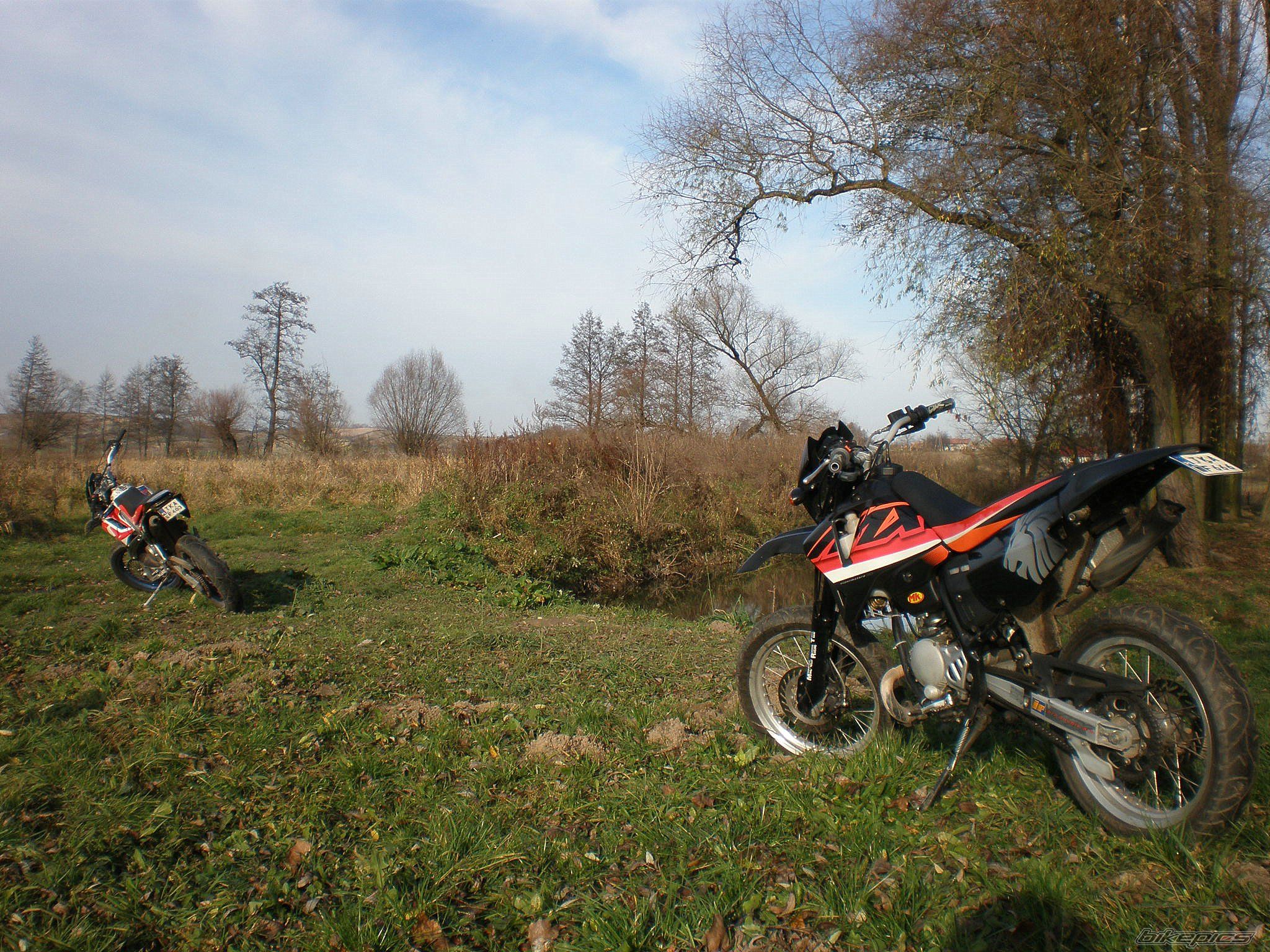 Photo 1485013