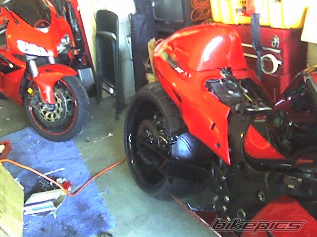Photo 1485125