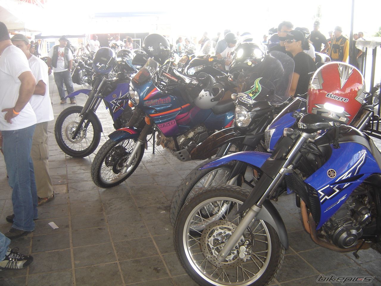 Photo 1485186