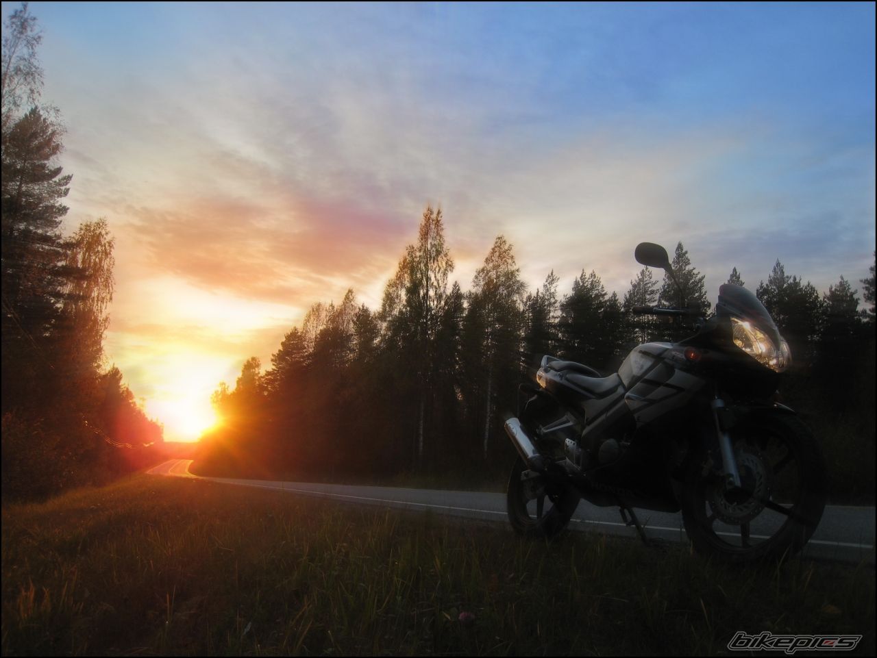 Photo 1485197