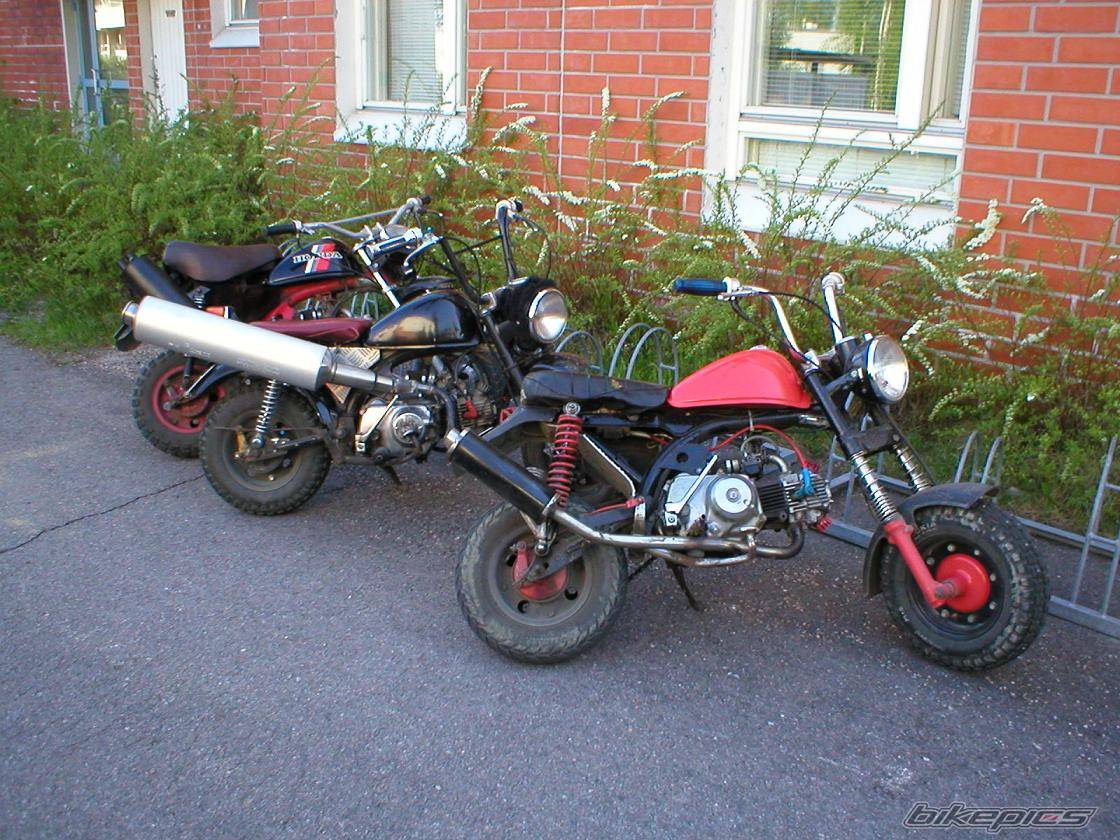Photo 148533