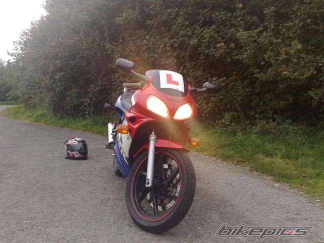 Photo 1485494