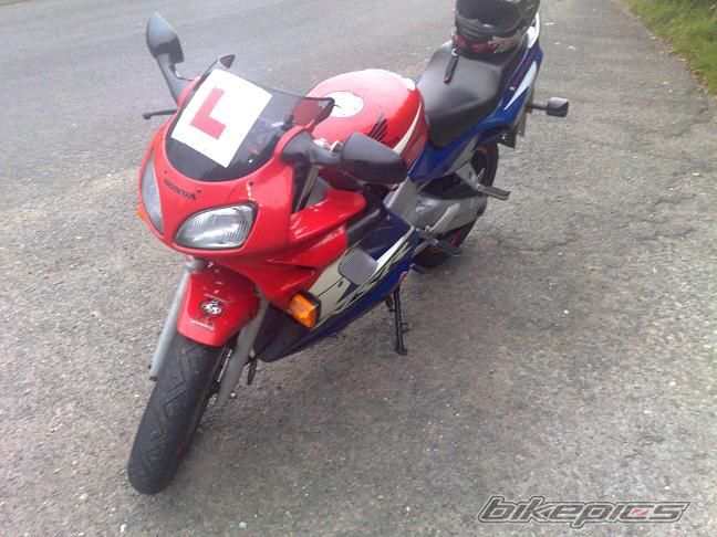 Photo 1485495