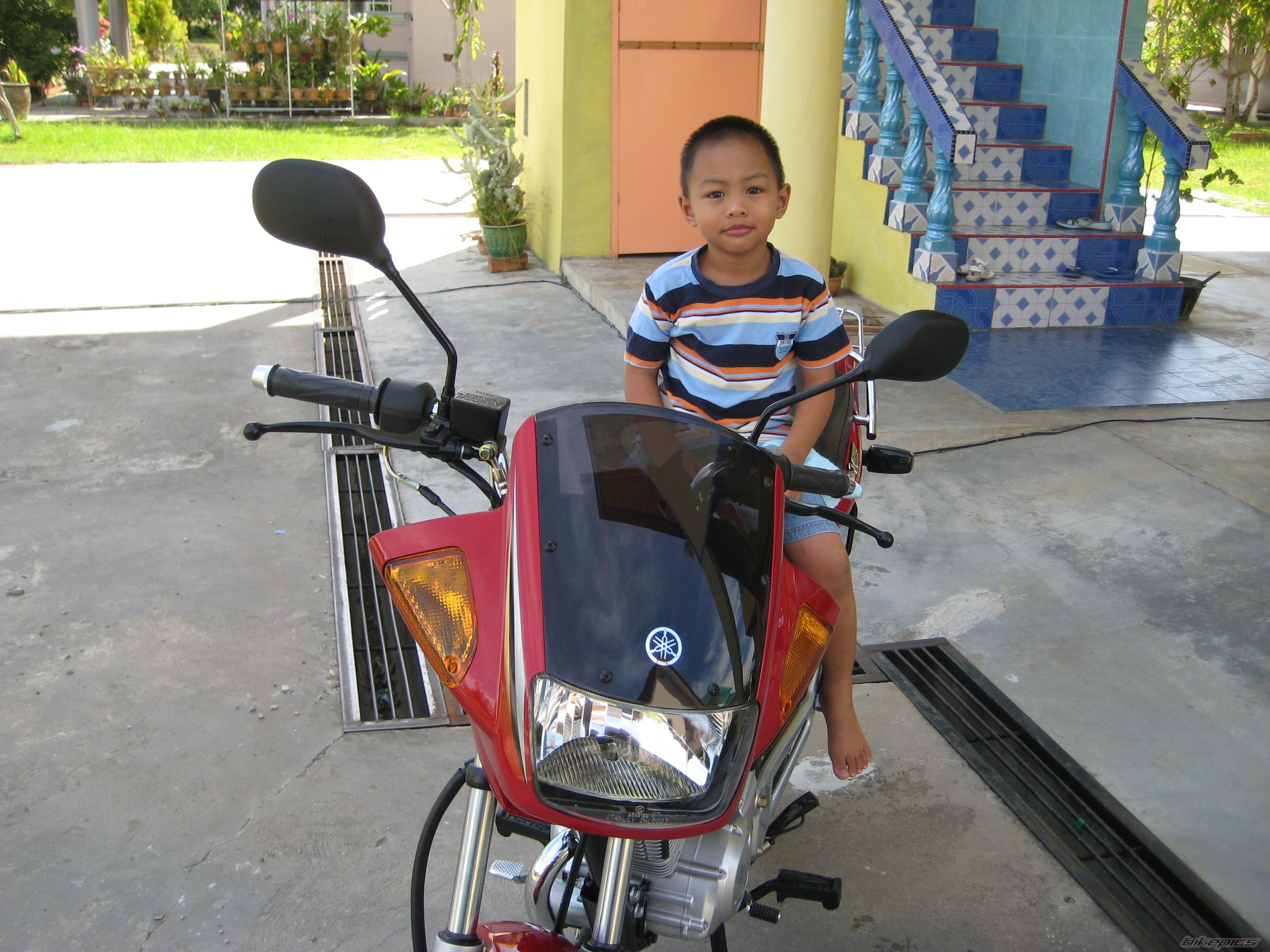 Photo 1485558