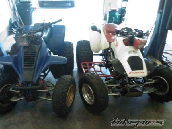 Photo 1485592