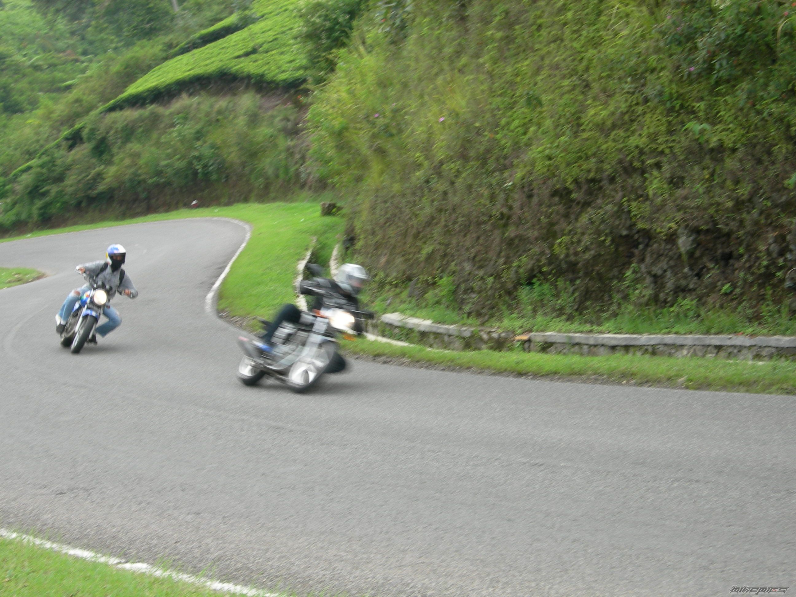 Photo 1485714