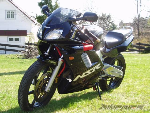 Photo 148575