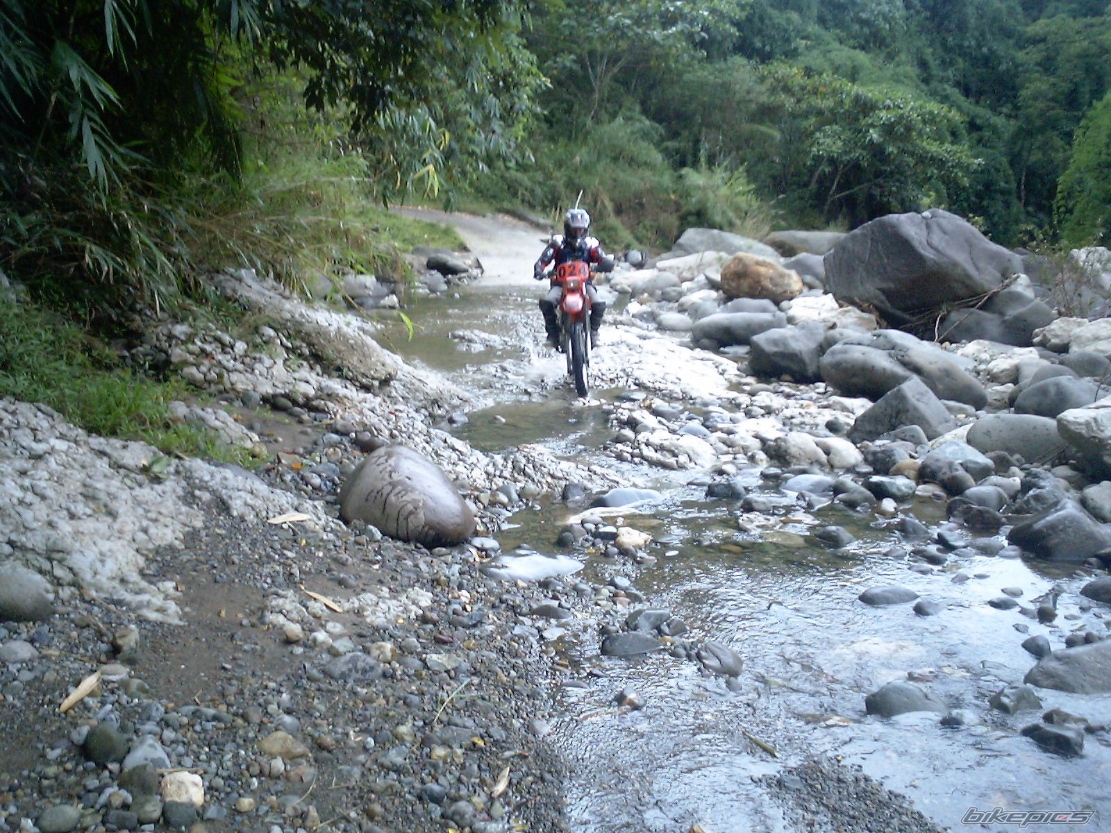 Bike Photo 1485781