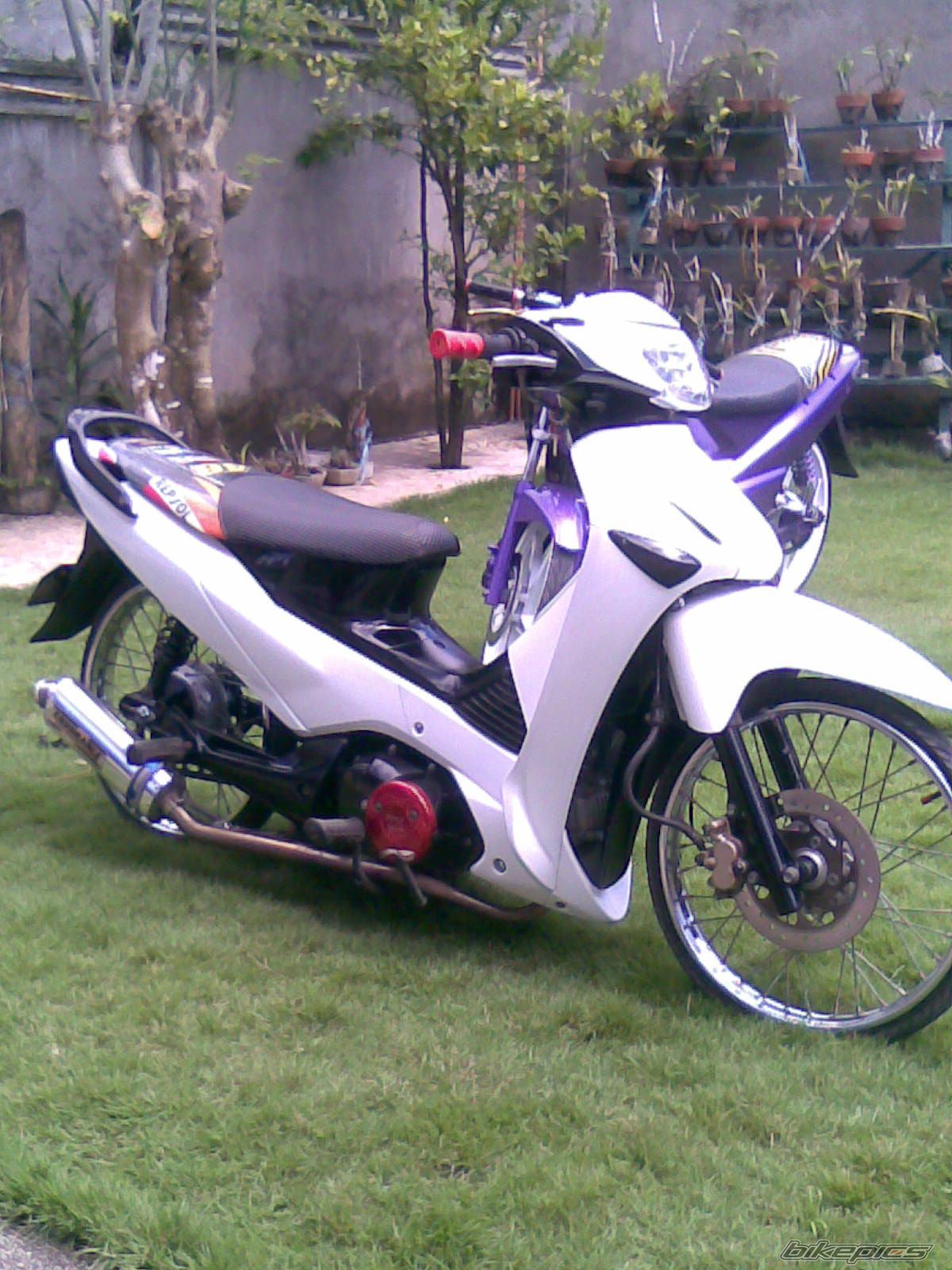 Photo 1485789