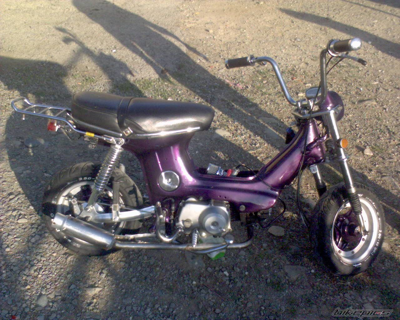 Photo 1485812