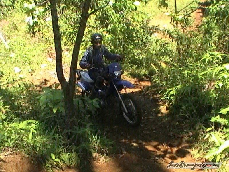 Bike Photo 1485832