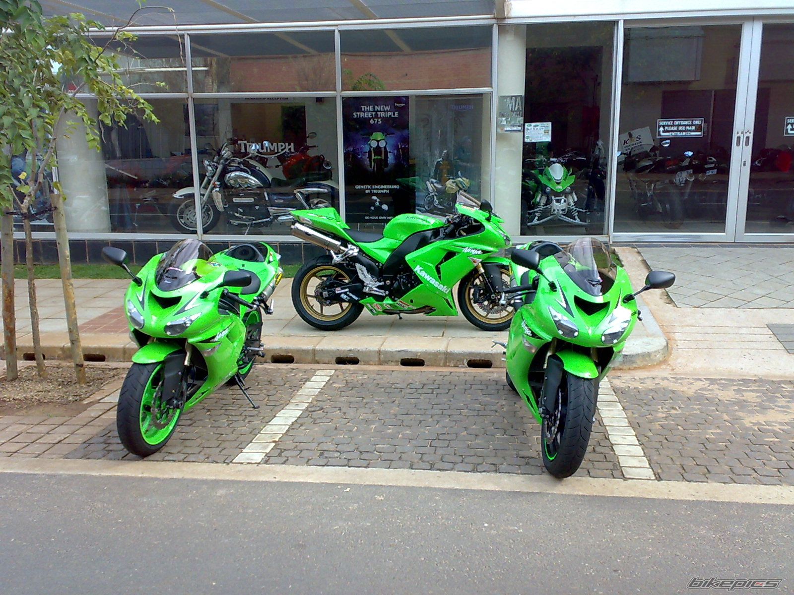 Bike Photo 1485902
