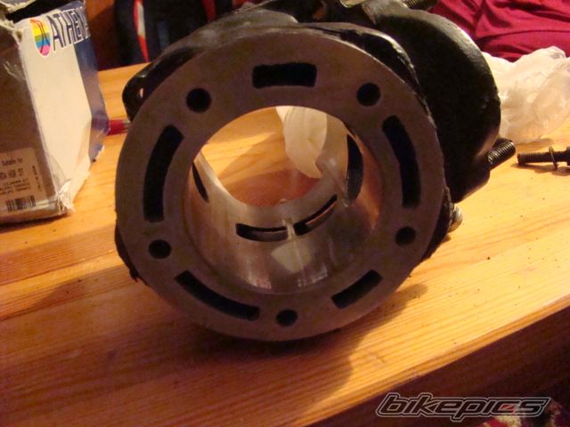 Photo 1486046