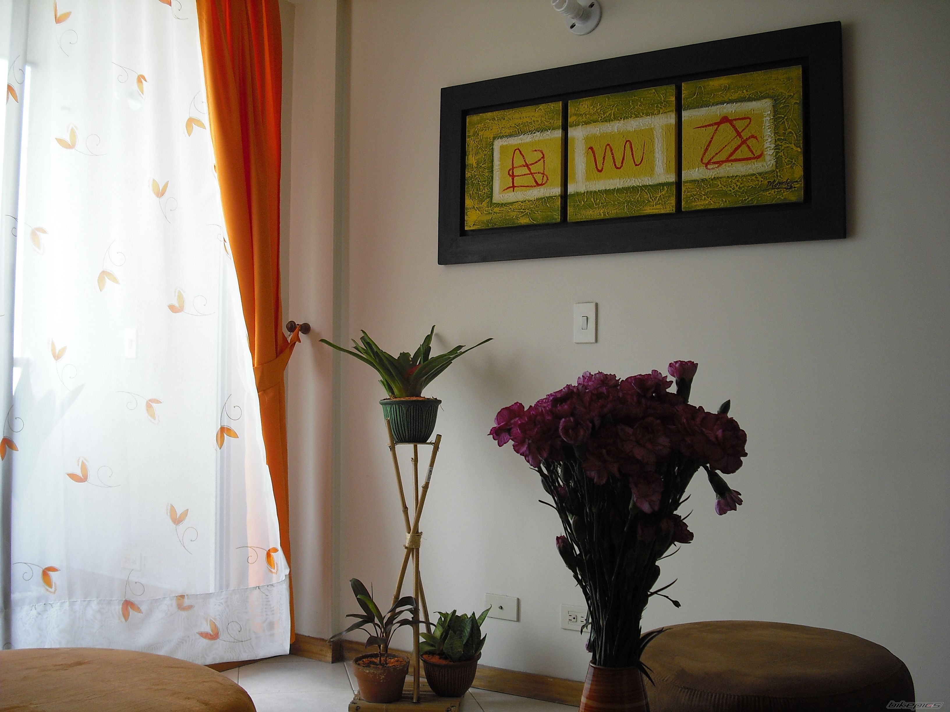 Photo 1486152