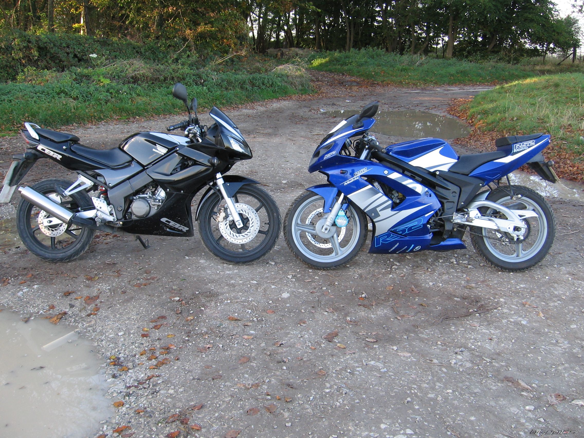 Photo 1486243