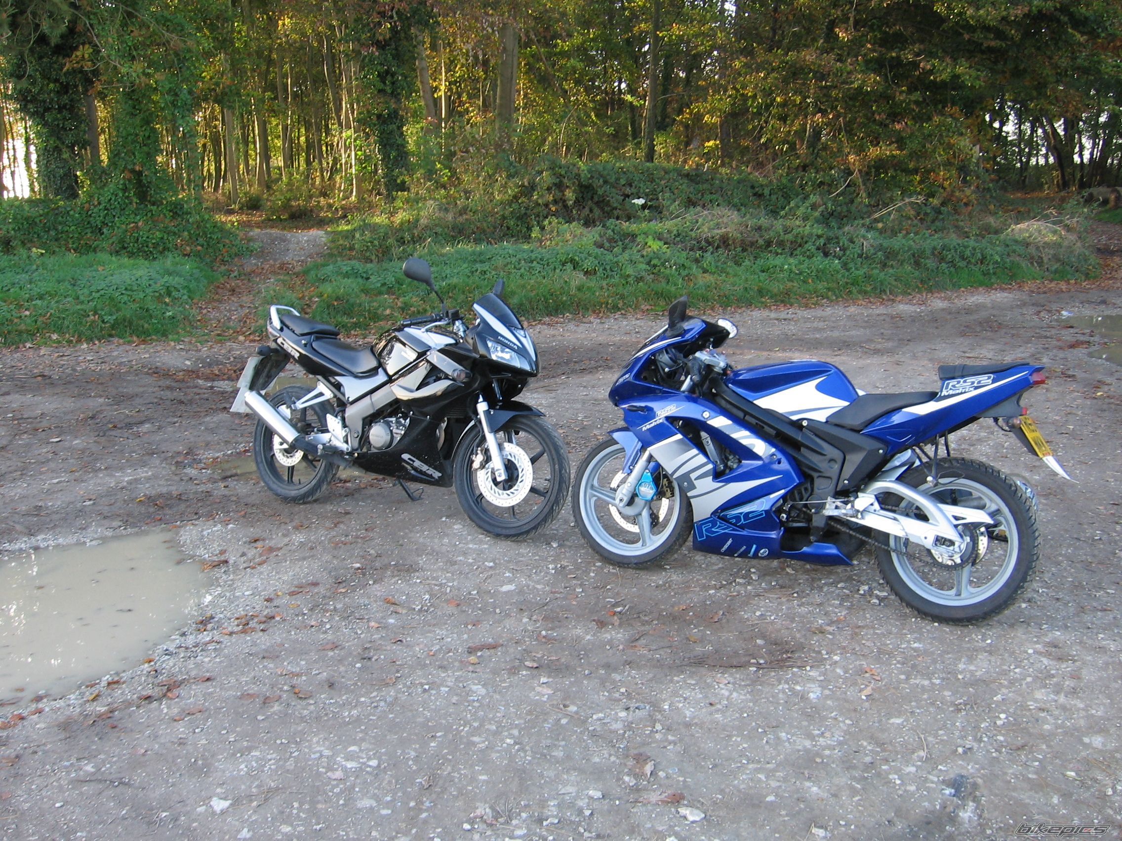 Photo 1486246