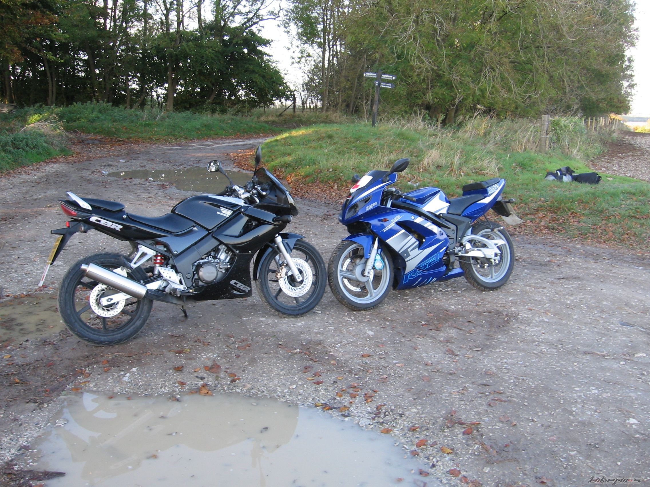 Photo 1486247