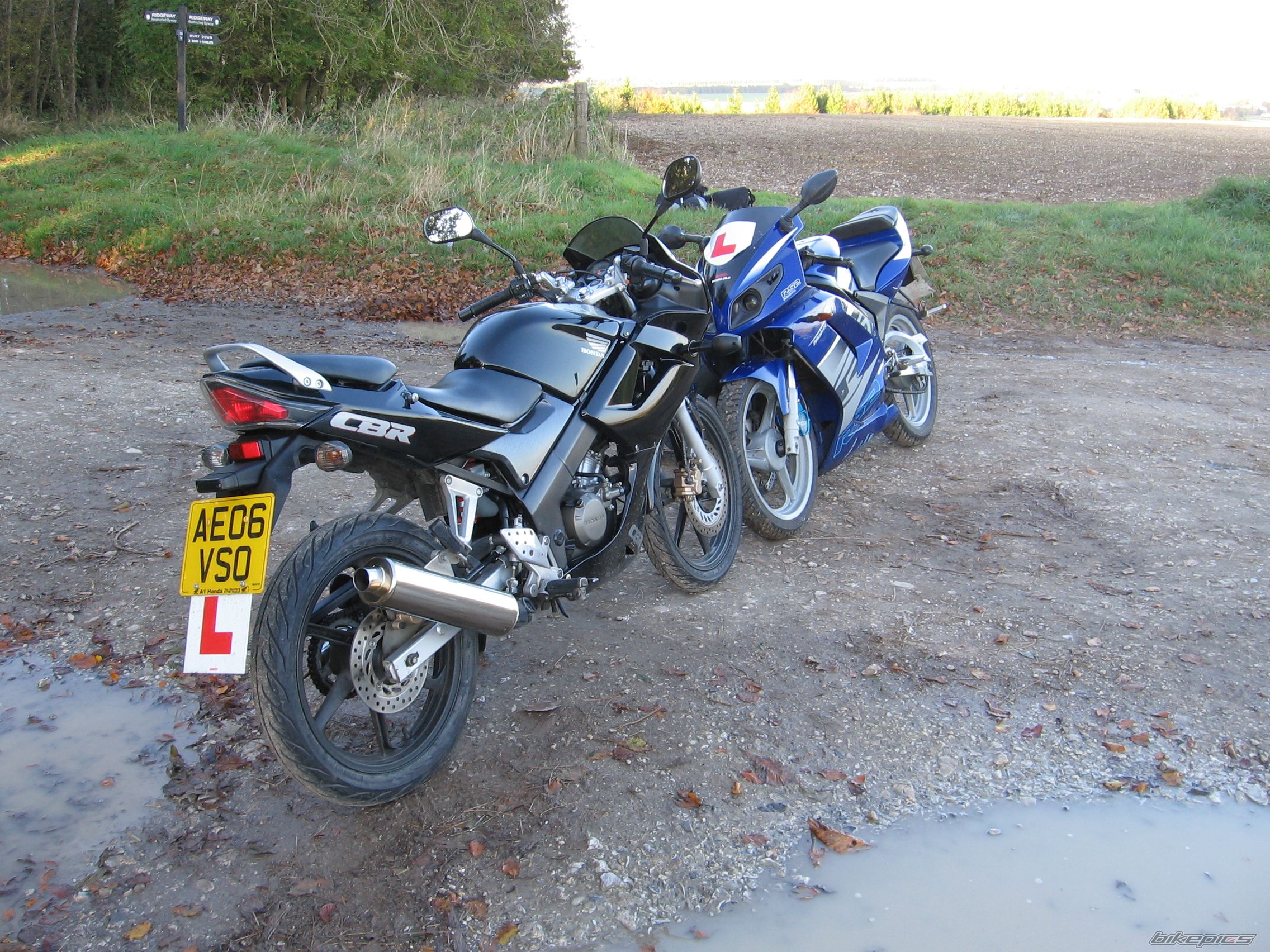 Photo 1486250