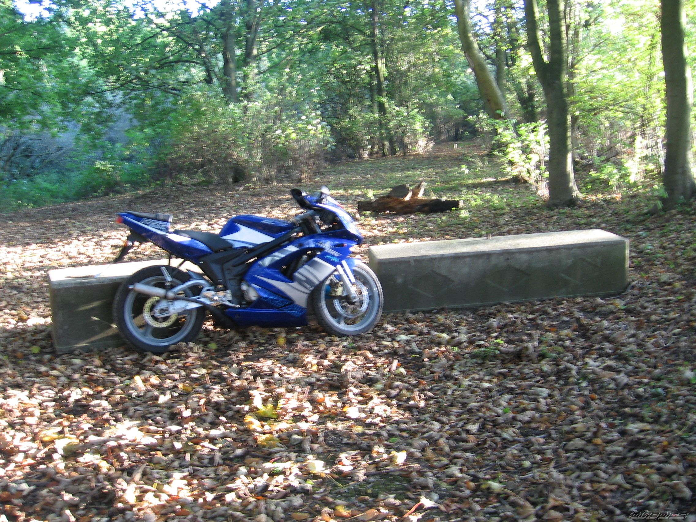 Photo 1486254