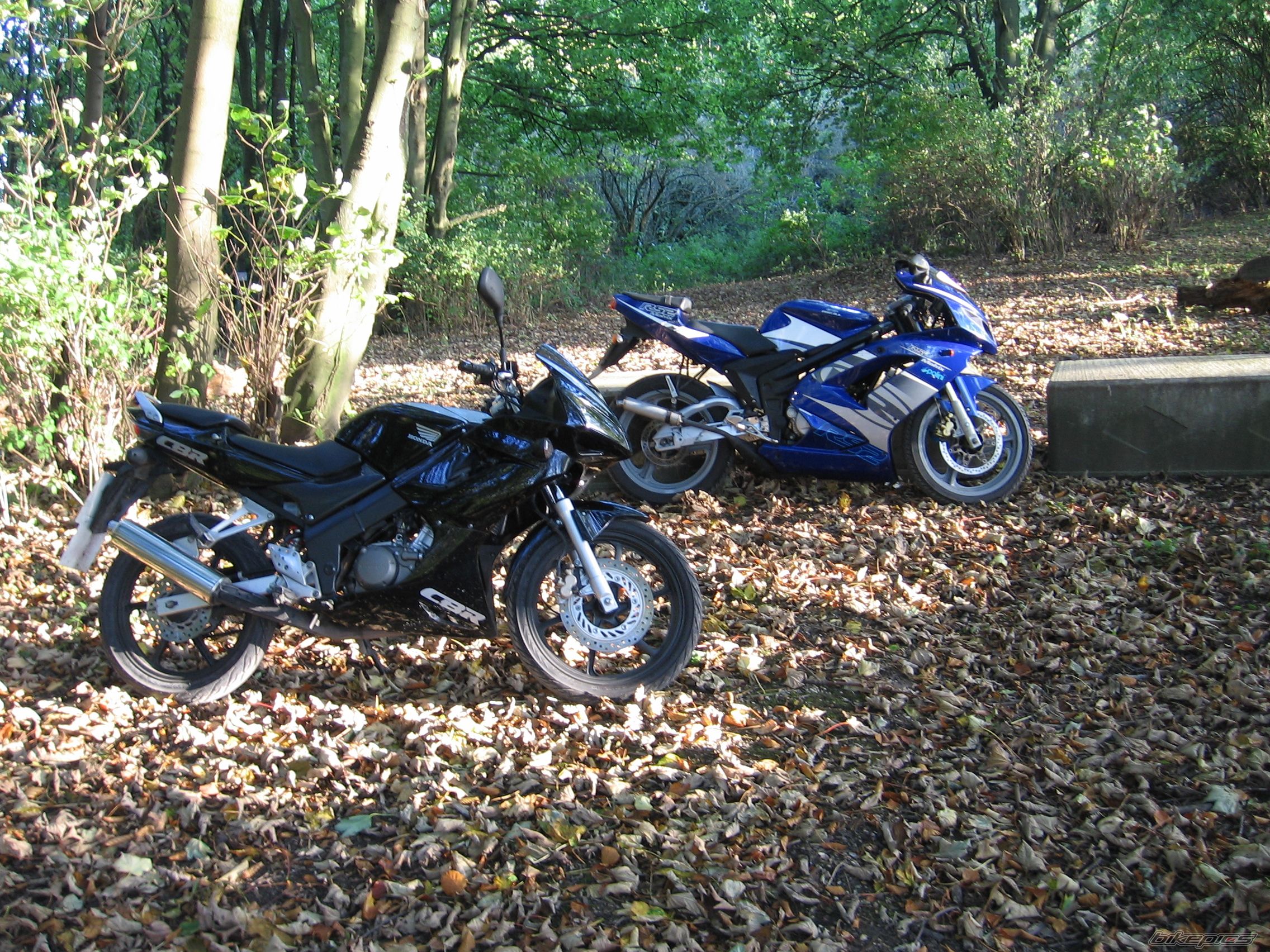 Photo 1486256