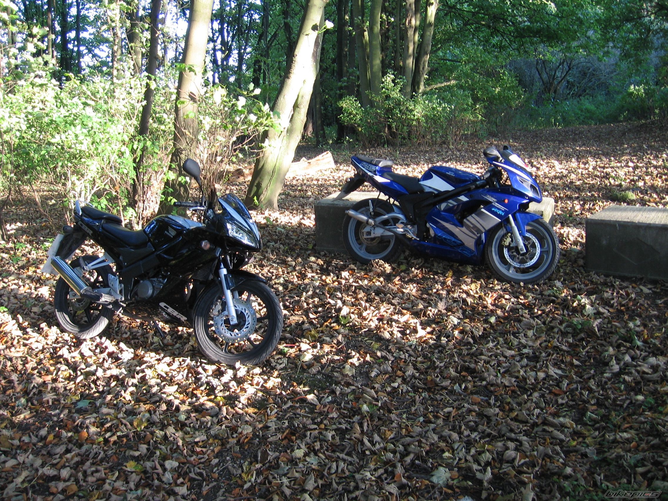 Photo 1486262