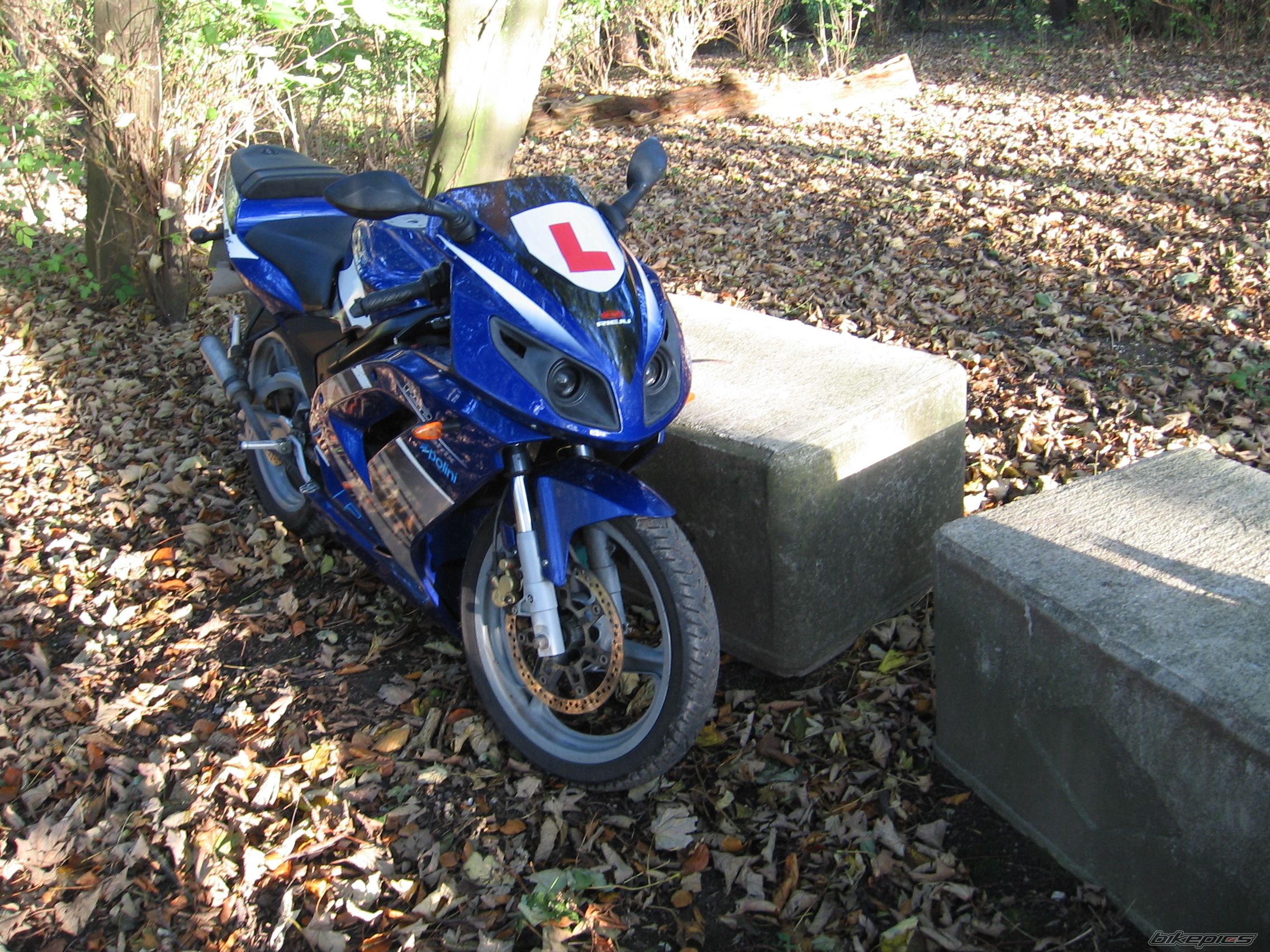 Photo 1486264