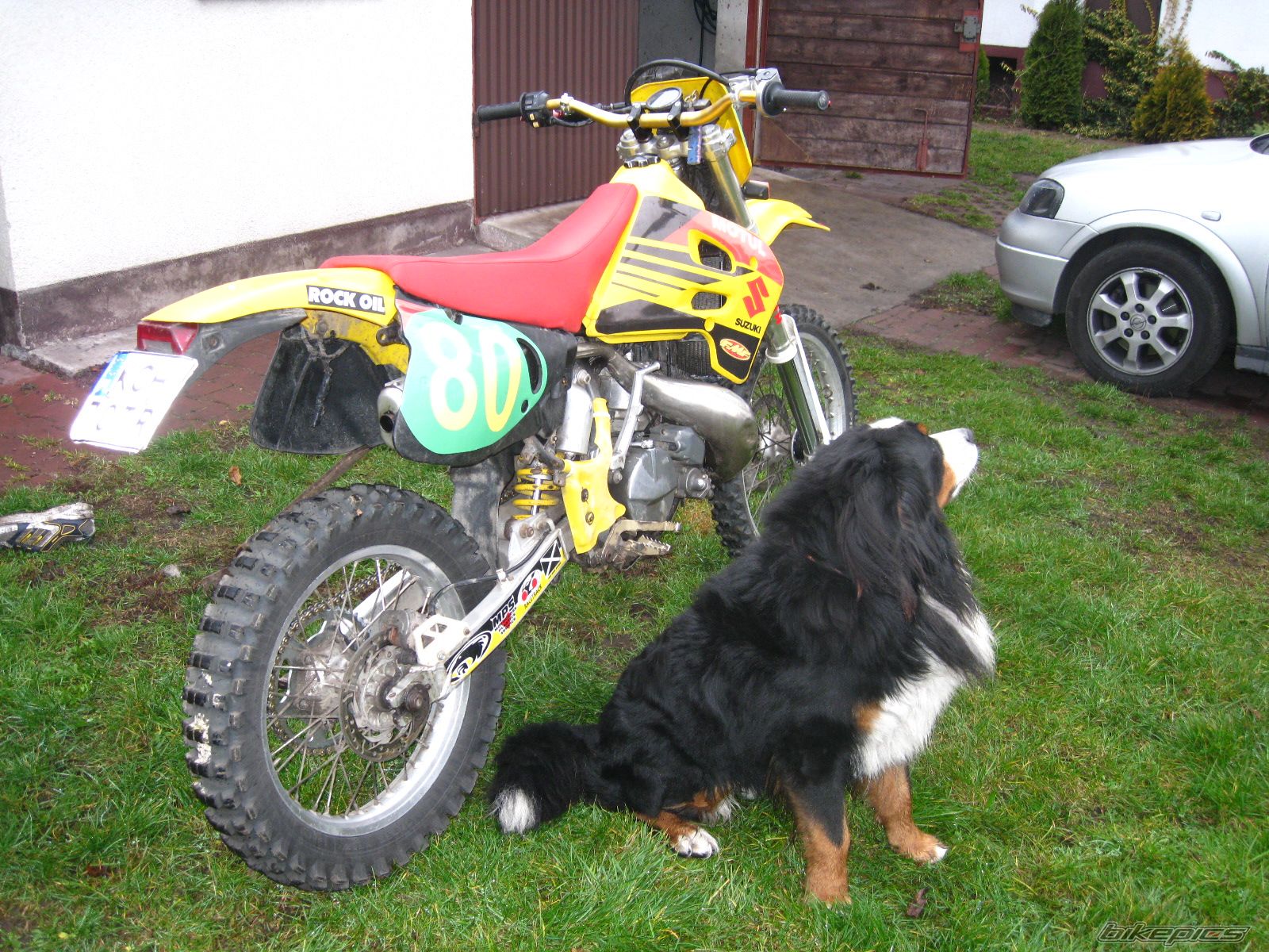 Photo 1486269