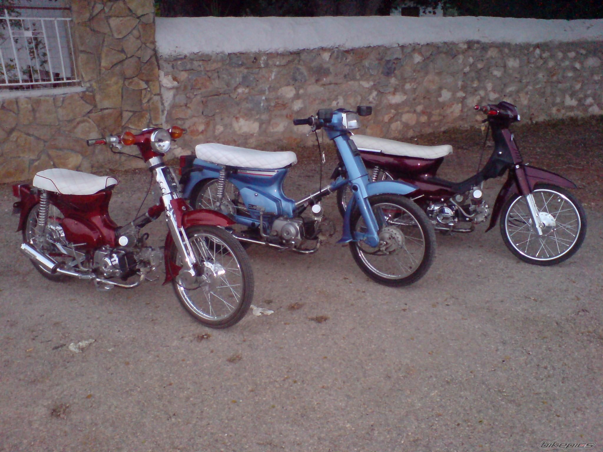 Photo 1486361