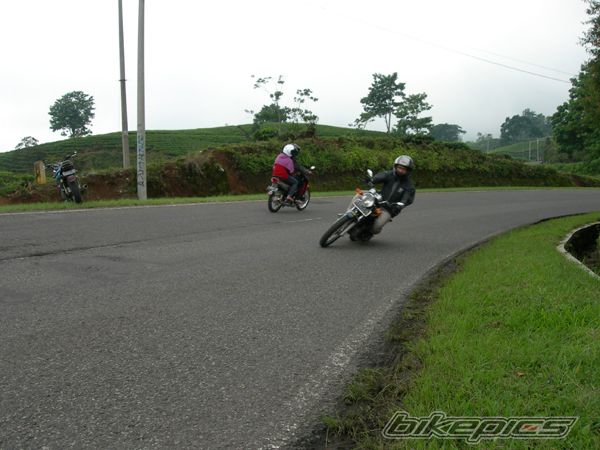 Photo 1486388