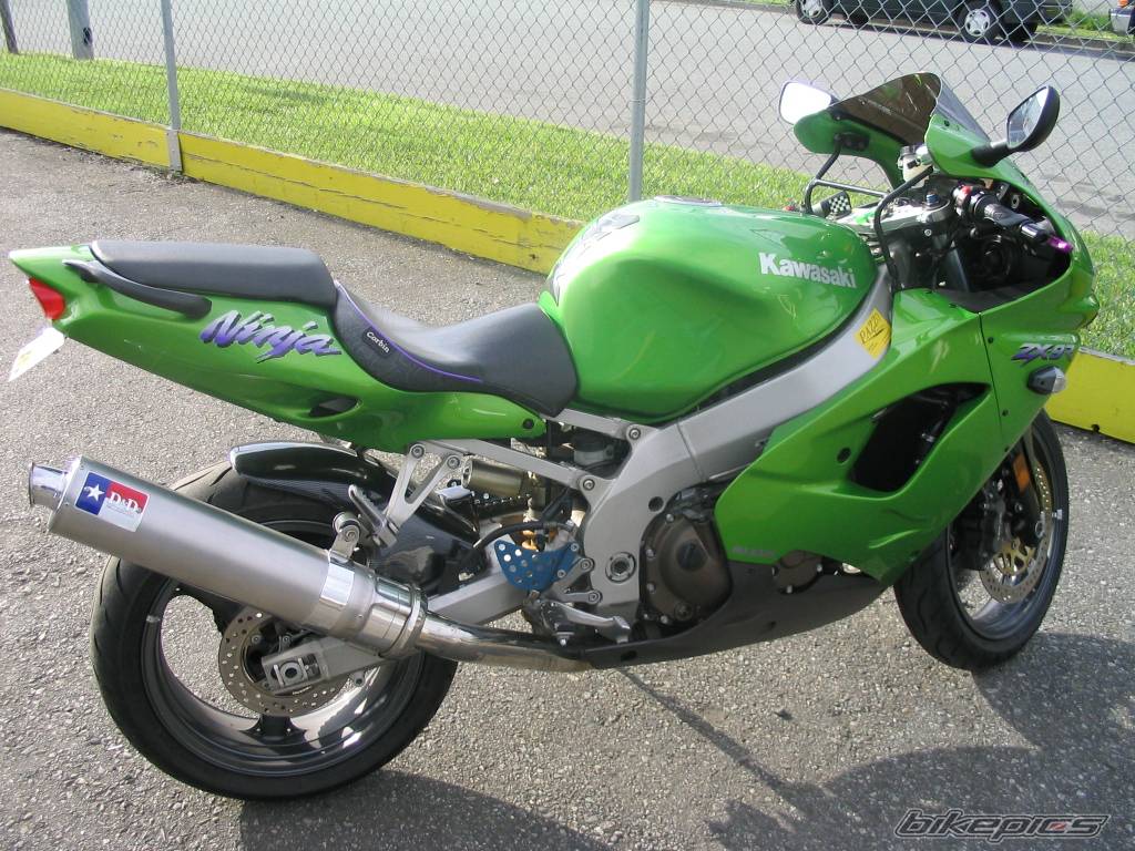 Photo 148641