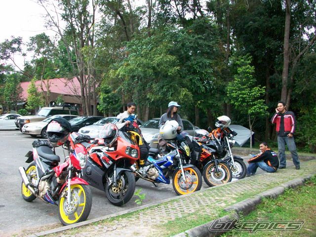 Photo 1486534