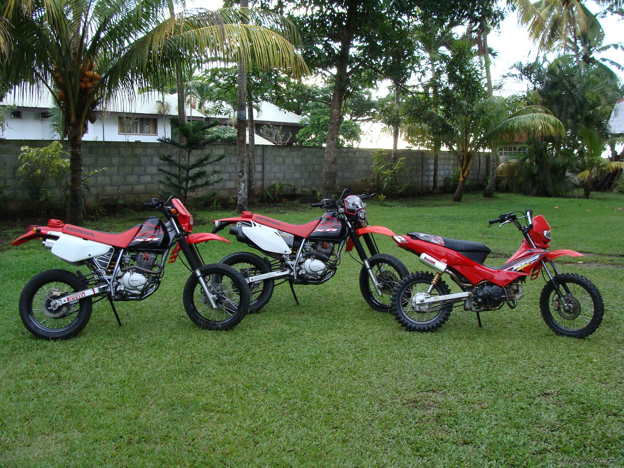 Photo 1486573
