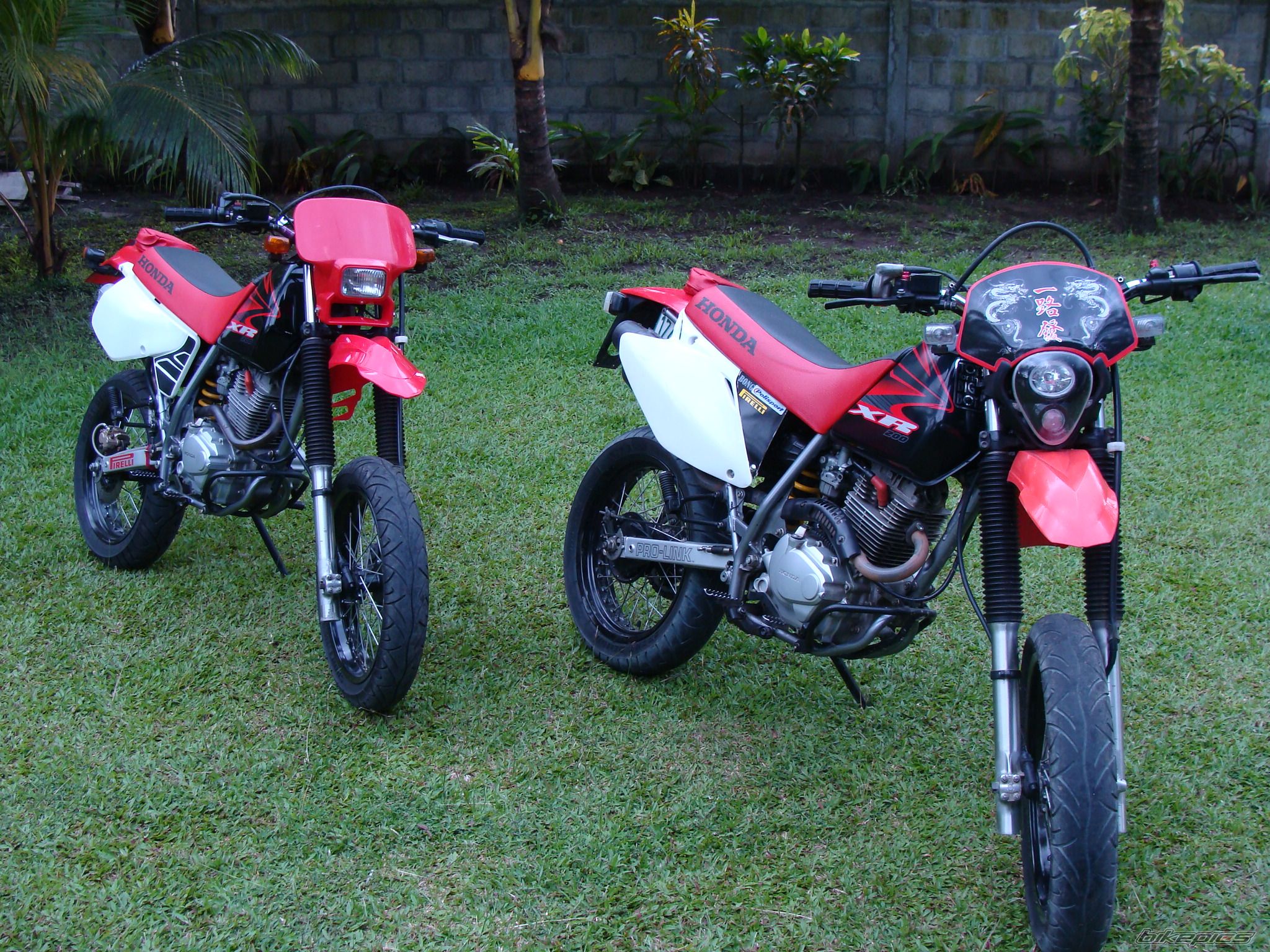 Photo 1486576