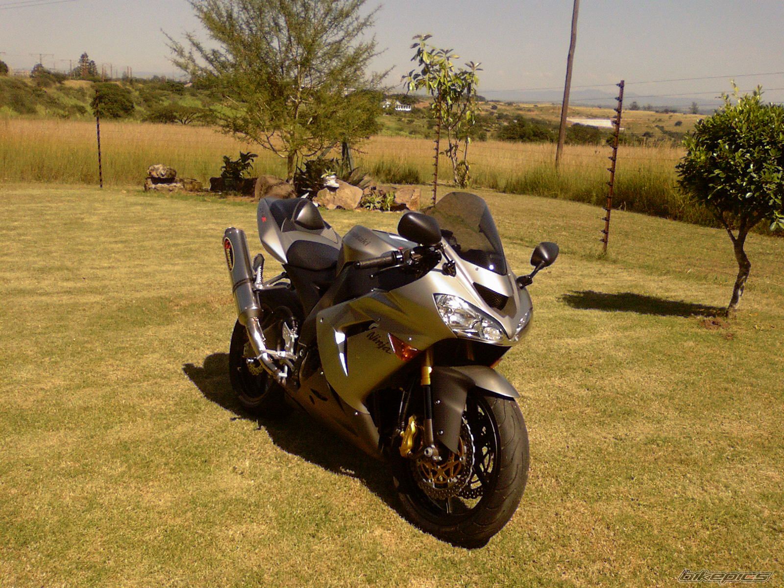 Photo 1486581