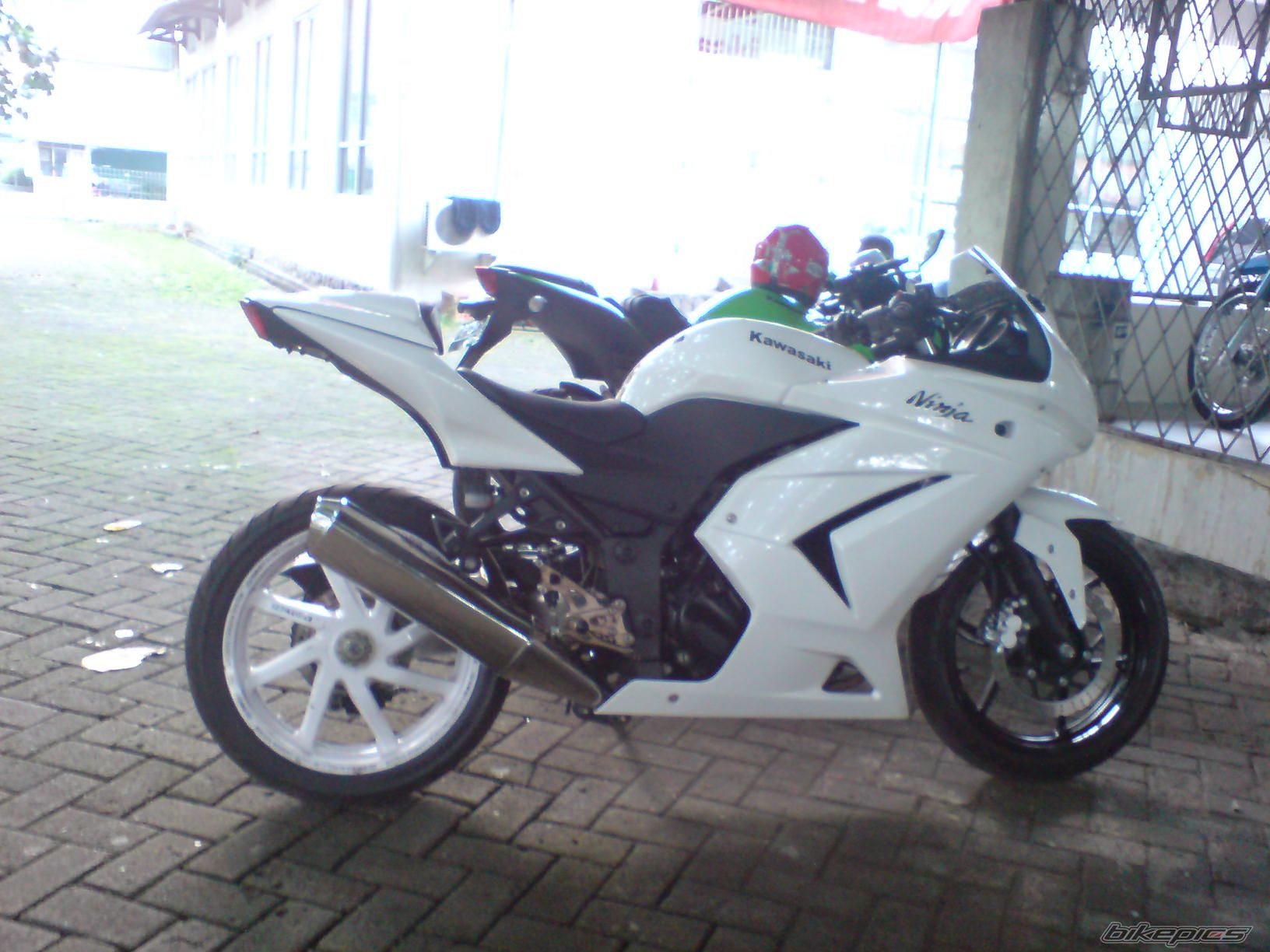 Photo 1486615
