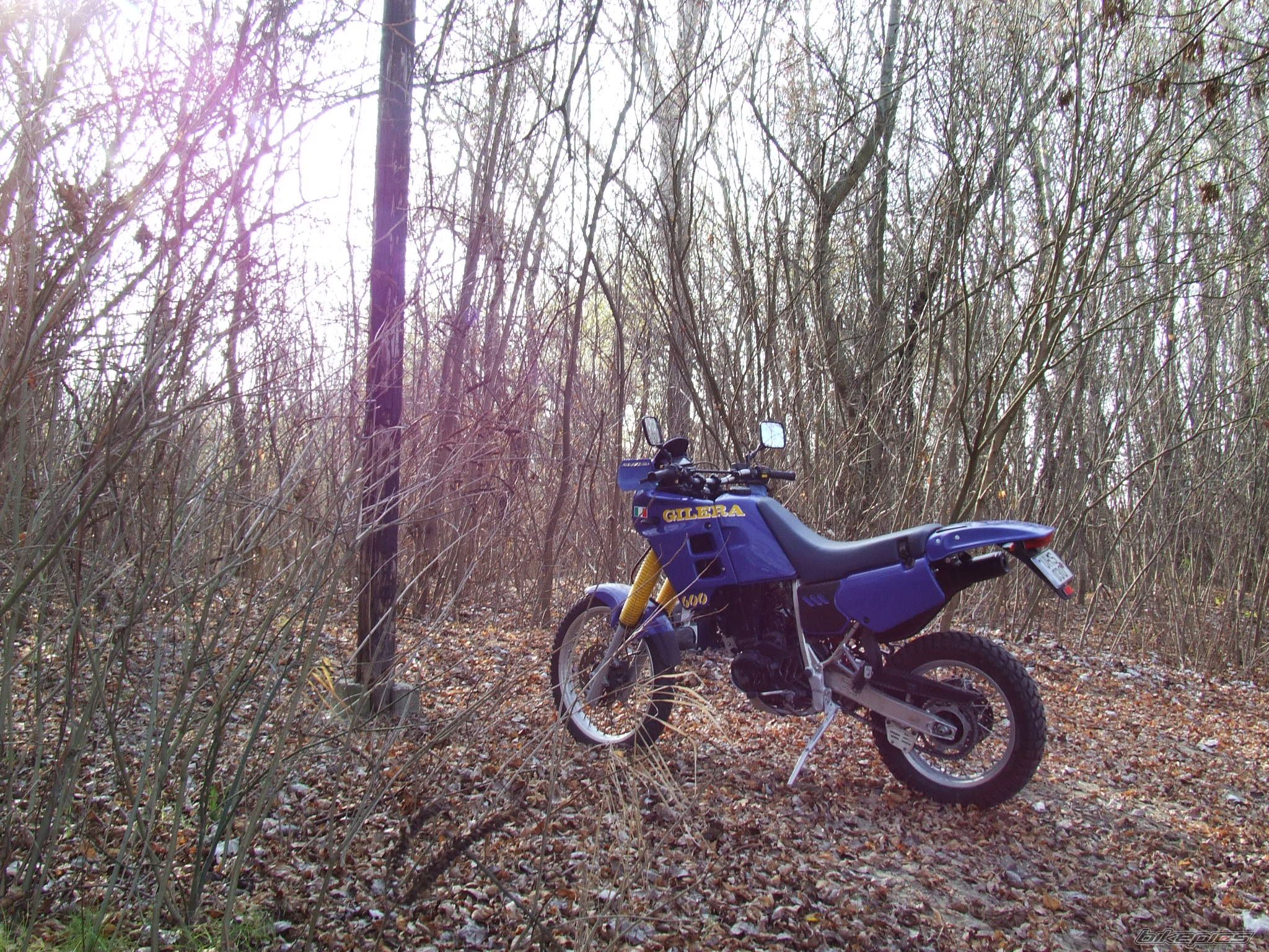 Photo 1486674
